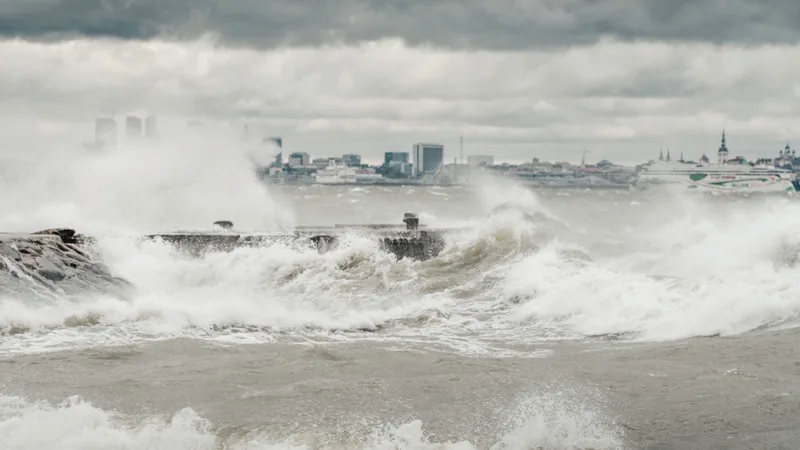 hurricane, trudy,