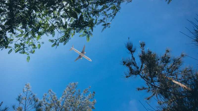 A commercial airplane soars above a forest with a clear blue sky.
